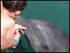 Jackson and Calypso in Jamaica