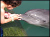 Jackson and Calypso in Jamaica