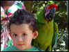 Jackson and the parrots in Roatan