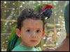 Jackson and the parrots in Roatan