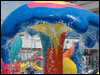 The kids pool
