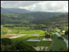 Hanalei Lookout