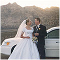 The Fake Red Rock Canyon Wedding