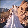 The Fake Red Rock Canyon Wedding